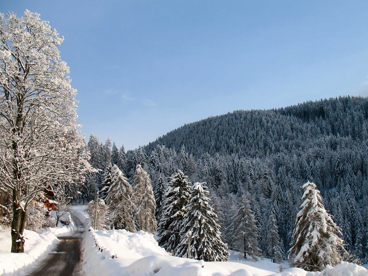 Ferien-Südtirol-Blog - Wellness & Beauty